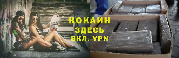 гашик Бородино