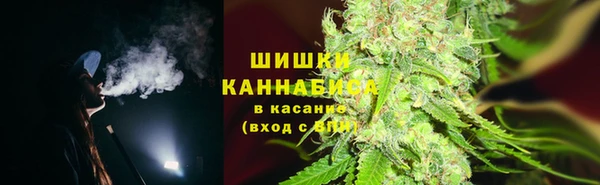 спайс Богданович