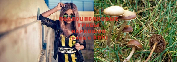 прущие крисы Бронницы
