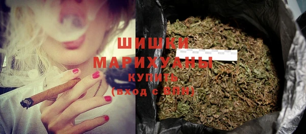 гашик Бородино